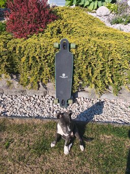 Longboard Landyachtz Drop Cat Illuminacion 38 - 3