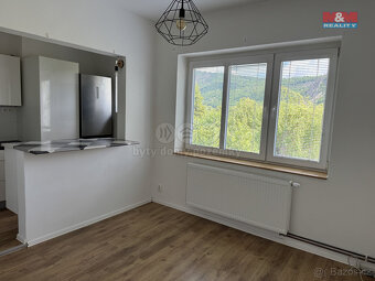 Pronájem bytu 2+kk ve Valtířově, Velké Březno - 3