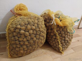 Vlašske ořechy neloupane - 3