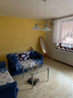 Pronájem bytu 3+1 - 3