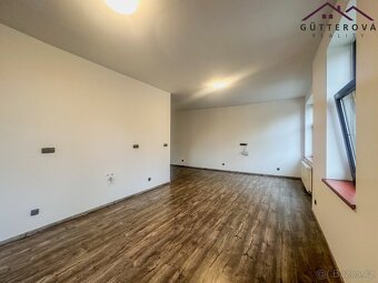 Pronájem bytu 1+kk  43 m², Holýšov, ev.č. yIGB059 - 3