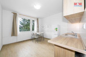 Pronájem bytu 2+kk, 50 m², Dnešice - 3