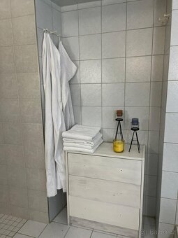 Pronajem apartmánu v Rakousku - hory a jezera - 3