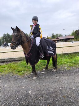 Sportovní pony - 3