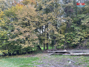 Prodej lesa, 164.841 m², Palkovice, okr. Frýdek Místek - 3