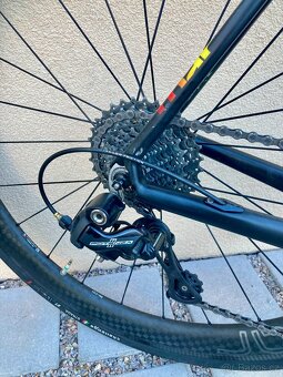 Pells Roar Campagnolo 11s - 3