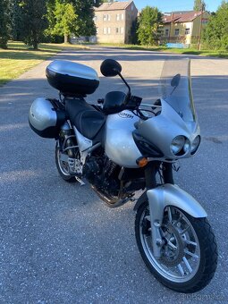 Triumph Tiger 955i - 3