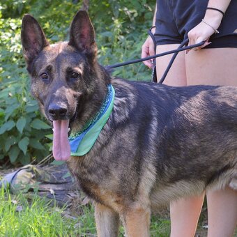 René hlada domov - 3