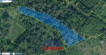 Prodej lesa 2 562 m², Bušanovice, ev.č. VŠ-7821 - 3