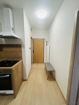 Pronájem bytu 2+kk, Skupova, Plzeň, 14.900Kč/měs, 35 m2 - 3