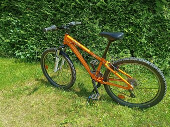 Horské kolo X-Dirt Ysemite 24 - 3