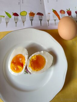 Čerstvá domácí vejce ze dvora za 8  Kč v Plzni Doubravka - 3
