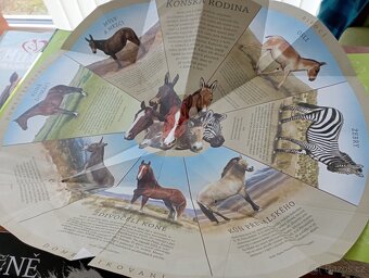 Knihy pro zájemce o kone - 3
