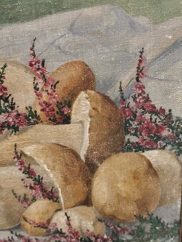 obraz olej na plátně B.Franke - houby - 3