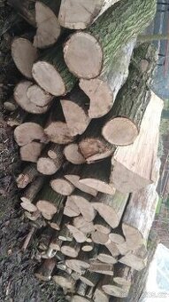 Palivové dřevo - 3