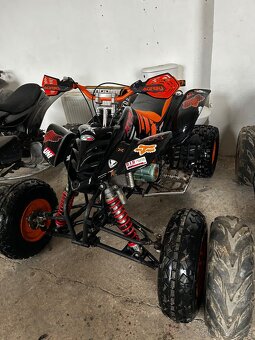 650 Campell Bashan 250 - 3