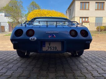 Chevrolet Corvette C 3. 1975 shark - 3
