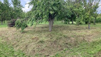 Bývalá stavební parcela (nyní sad) v Louce 191 m² - 3
