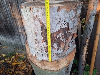 Špalky, špalek, buk - 3