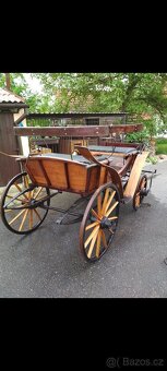 Prodám kočárovou bryčku - 3