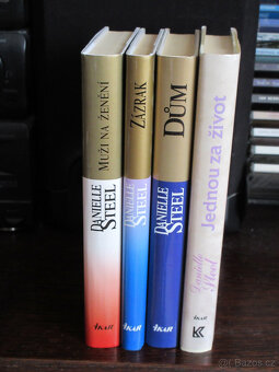 DANIELLE STTEL-Kniha za 50Kč - 3