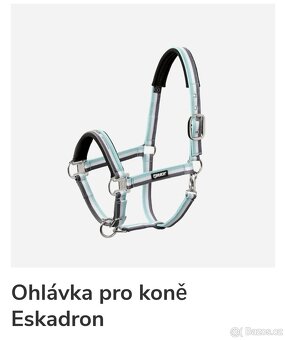 Ohlávka eskadron - 3