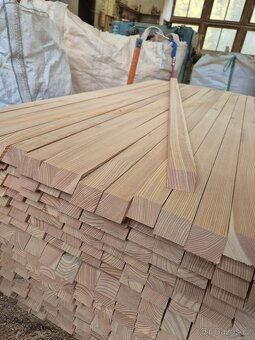 Modřínové plotové pláňky - 3