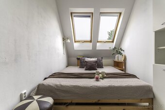 Prodej rodinného domu s investičním potenciálem v Praze Mich - 3
