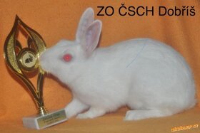 ZAKRSLÍ KRÁLÍCI - 3