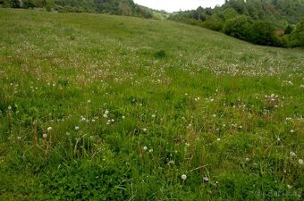 Pozemek na prodej, Dlhá nad Oravou - 3
