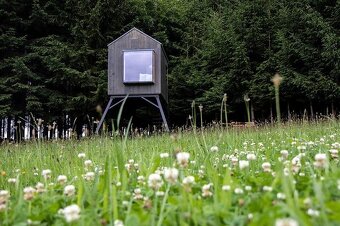 Pozemek na tinyhouse maringotku Starec u Kdyně LEVNĚ - 3