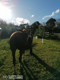 Vyjížďka na koni v Národním parku Podyjí - 3