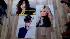 Prodám sbírku plakátů DEMI LOVATO (1. část) - 3