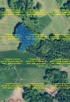 Prodám lesní pozemky - Kadov - Blatná , celkem 14.054m2 - 3