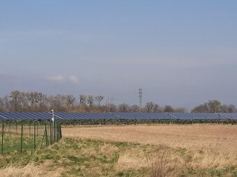 Prodej pozemku • 6000 m² bez realitky - 3