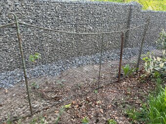 Stary secesni plot - 3
