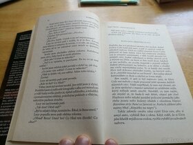Poslední detektiv - Robert Crais - 3
