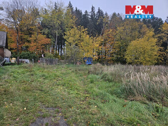 Prodej louky, 922 m², Hynčina - 3