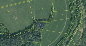 Prodám lesní pozemky v k.ú. Malenice - 3