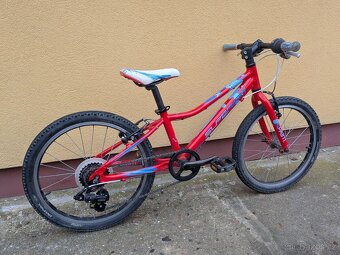 dětské kolo Superior Paint XC 20 - 3