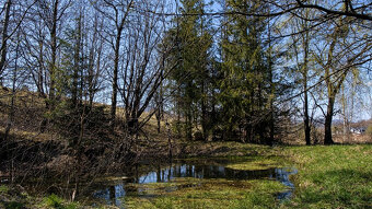 --RD Beskydy Trojanovice + pozemek 28000m2 2x rybník -- - 3