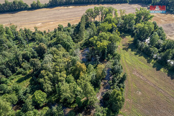 Prodej lesa, 2252 m², Horka nad Moravou - 3