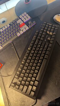 Rapture Alpha - Cherry MX Blue - 3