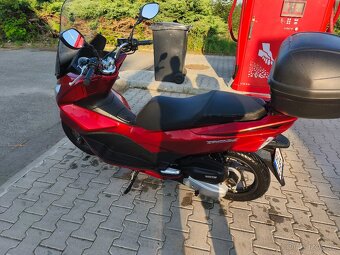 Honda PCX 125 - 3