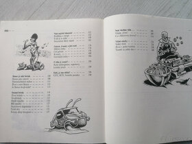 Kniha Okna vesmíru dokořán - Jiří Grychar, Vladimír Železný - 3