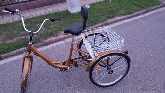 Tříkolka pro dospělé - 3