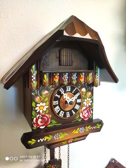 Hezke,  kukacky, Schwarzwald, malovane - 3