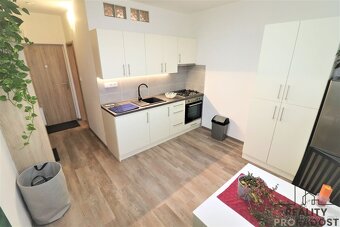 Pronájem rekonstruovaného bytu 1+1 40 m2 Petra Křičky - 3