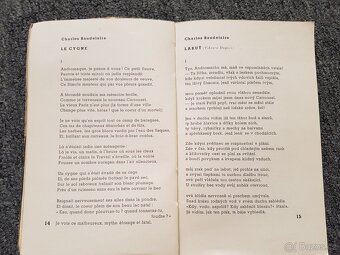 Hommage de Prague à Paris - 3