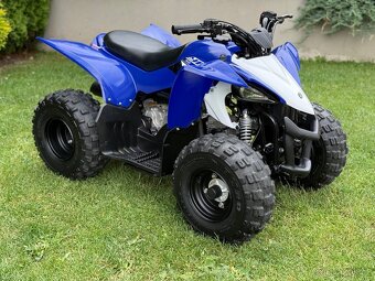 Yamaha Raptor 50 - 3